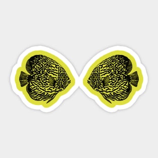 Discus Fish in Love - aquarium lovers fish design Sticker